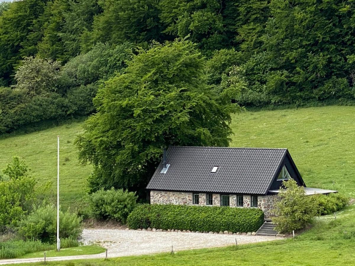 Stenhuset I Pilbrodalen سكاندربورغ المظهر الخارجي الصورة